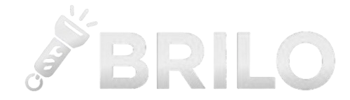 BriLo